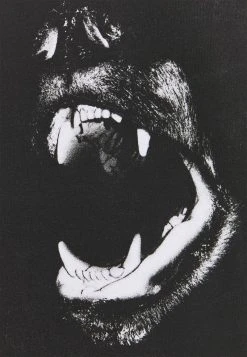 YOURTURN UNISEX - T-shirt Con Stampa - White -Sconto YOURTURN in Italia 58bb31f561364d32afd21d152180aa2a